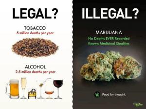 weed-legalization-meme